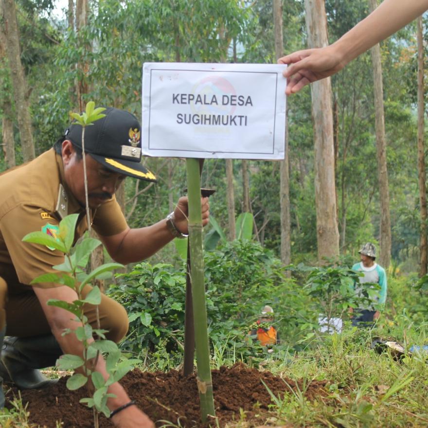 Kepala Desa Sugihmukti Menjaga Lingkungan Dengan Menanam Pohon Rutin Di kawasan Hutan 